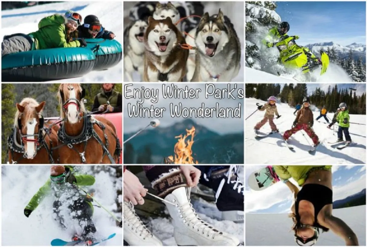 A vibrant winter scene bursting with activity: guests are tubing down snowy hills, huskies prepare for dog sledding, snowmobiles wait at the ready, and a family gathers around a warm campfire. The snowy landscape sets the backdrop for skiers, snowboarders, ice skaters, and horses, creating an energetic snapshot of winter adventure.